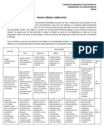Pautas y Criterios de Evaluación PDF