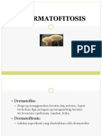 dermatifitosis