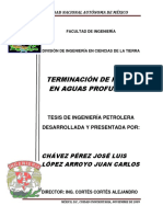 Tesis.pdf