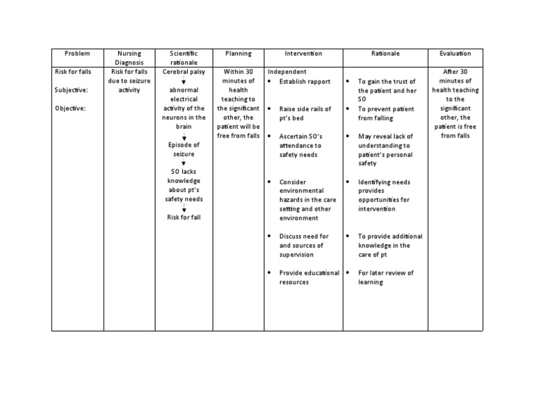 Nursing Care Plan for Fall Risk Management | PDF | Risk | Safety