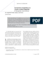 Psicoterapia e Intervenciones Terapeuticas en sobrevivientes de lesion cerebral adquirida