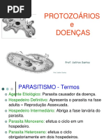 20 49 21 Slidesprotozoarios2