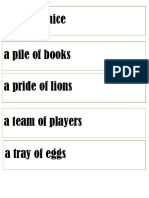 A Nest of Mice A Pile of Books A Pride of Lions A Team of Players A Tray of Eggs