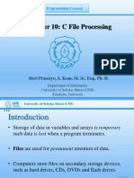 10. C File Processings