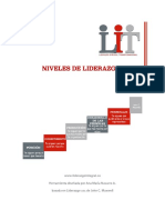 Niveles de Liderazgo LIT v1