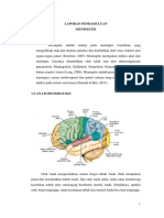 LP Meningitis