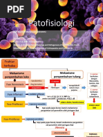 Patofisiologi Osteomyelitis