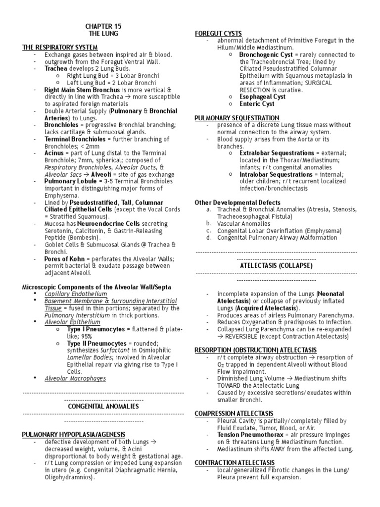 Lungs | PDF | Lung | Chronic Obstructive Pulmonary Disease