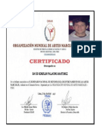 Certificado de Kunfu