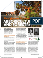 The Difference Between Arboriculture and Forestry