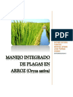 Manejo integ de plagas en cultivo arroz