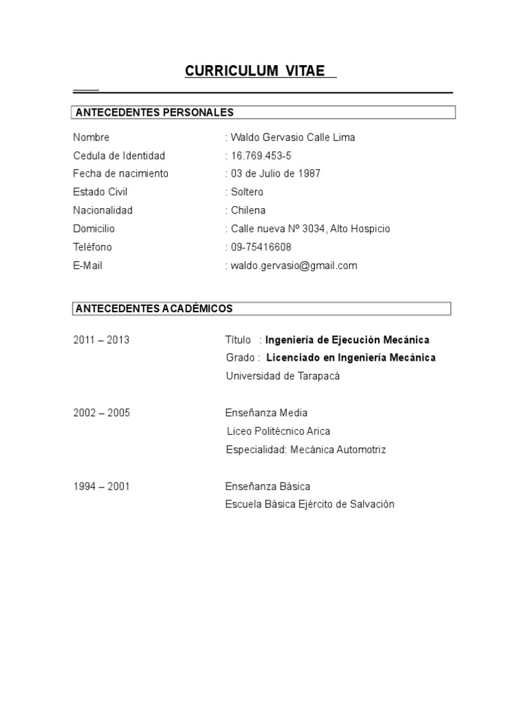 CV Waldo Calle Lima PDF
