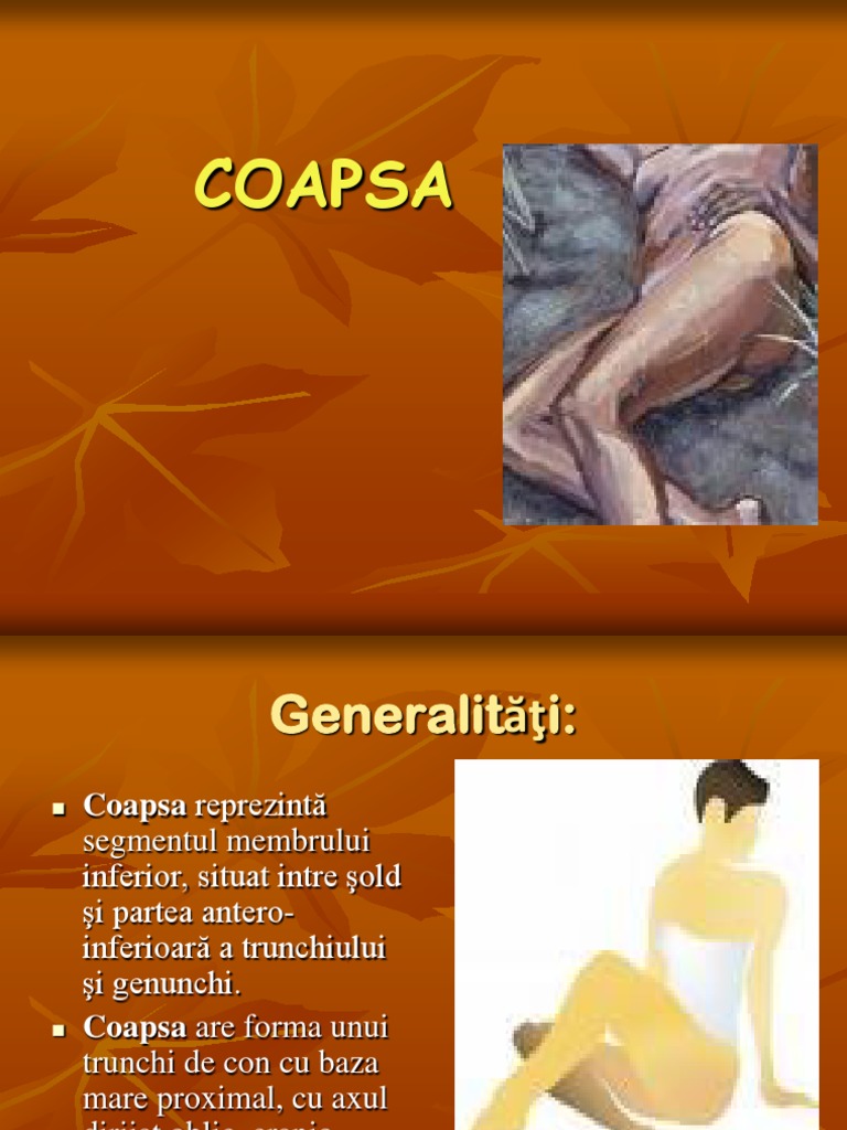 COAPSA | PDF