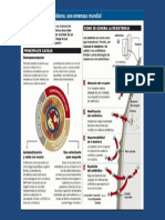 Posterresistencia Bacteriana