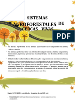 Sistemas Agroforestales de Cercas Vivas (1)