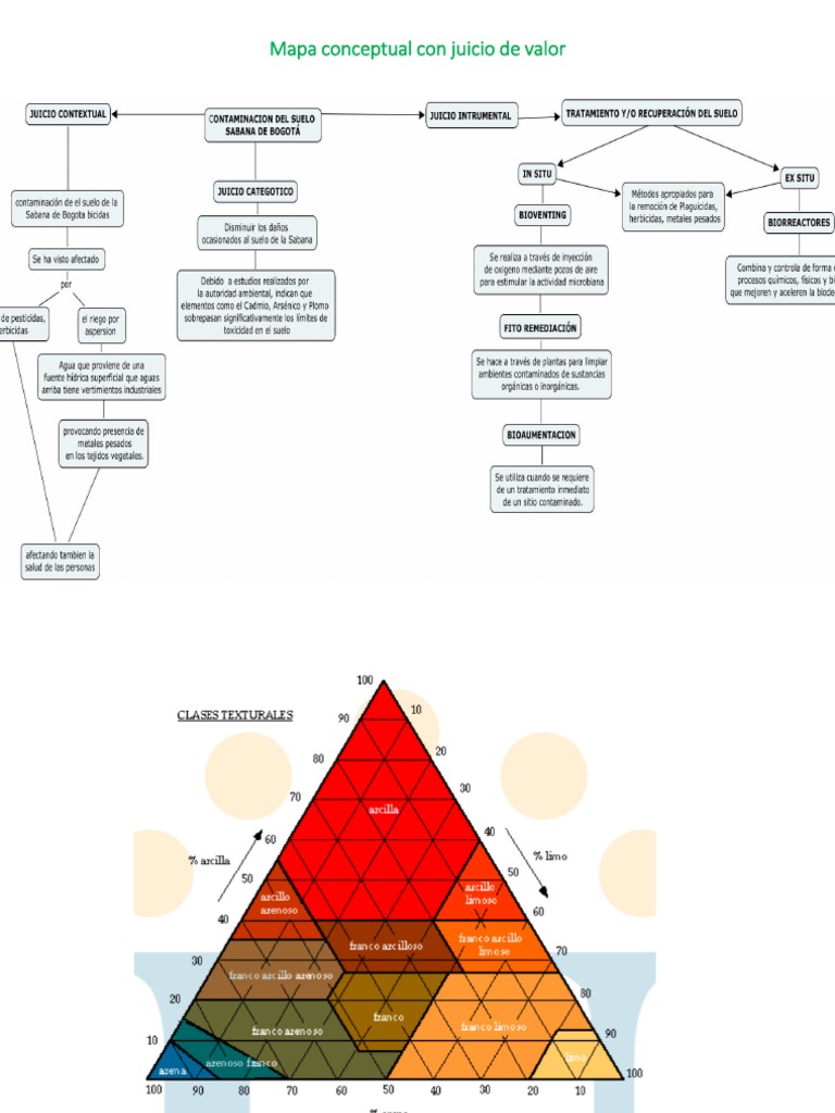 Mapa Conceptual Con Juicio de Valor
