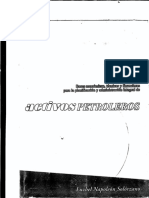 Activos Petroleros PDF