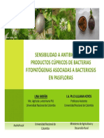 Bacteriosis en Maracuya