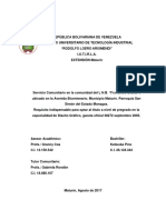 Informe de Servicio Comunitario - IUTIRLA