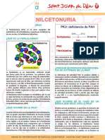 Triptico Feniceltonuria ES