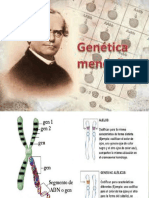 Leyes de Mendel y herencia genética