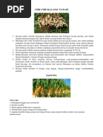 Download Ciri Ciri Kacang Tanah by fotocopy sanjaya  SN364021732 doc pdf