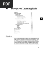 Perceptron Learning Rules