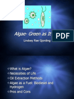 Algae-Green As It Gets: Lindsey Rae Gjording