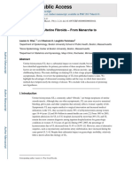 Epidemiology Uterine Fibroid