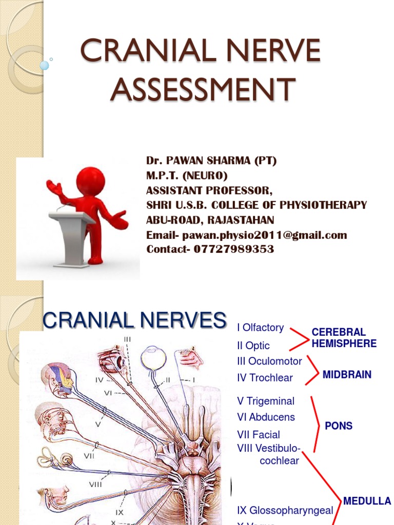 Cranial Nerve Assessment Guide | PDF | Human Head And Neck | Nervous System
