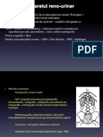 LP 10 15.05.2015 Curs 8 Examen Imagistic Al AP - Reno-Urinar.p.60 Xerox