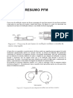 Resumo pfm2