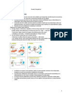 Prueba 3 Bioquímica