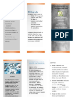 Triptico de Braulio PDF