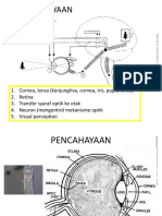 5 Ok Pencahayaan