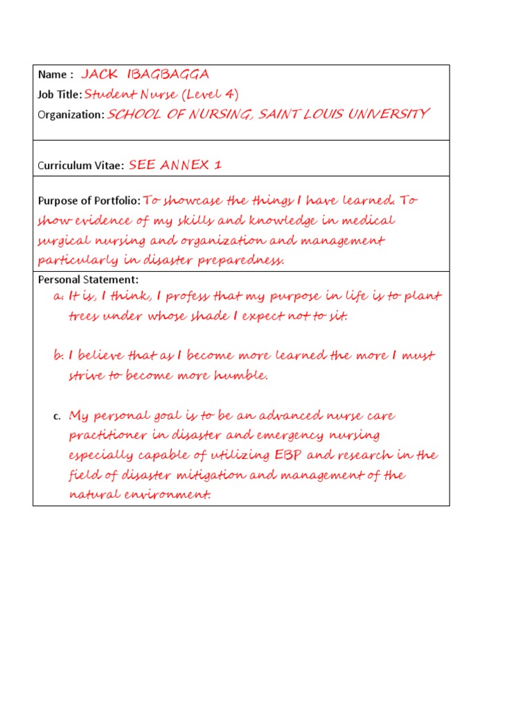 Portfolio Reflective Writing PDF Health Education Nursing