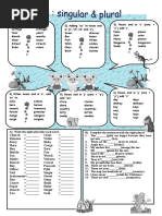 Nouns Singular and Plural Grammar Guides Picture Dictionaries 38791