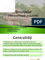 Pătrunjelul