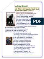 Maimuţa Ofensată PDF