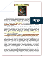 060. Macaleandrul.pdf