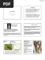 Coevolução - Evolução 