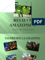 Relieve Amazonico