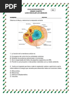 Evaluación de la Célula para Grado 4 | PDF | Biología Celular) | Citoplasma