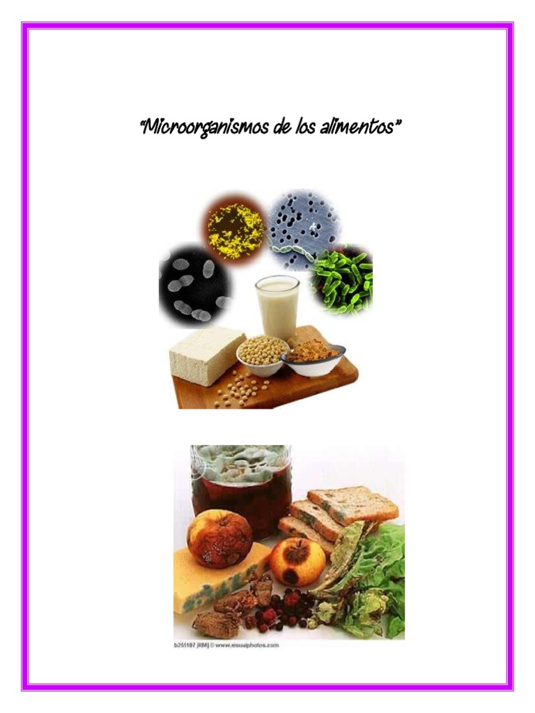 Microorganismos de Los Alimentos PDF | PDF | Hongo | Levadura