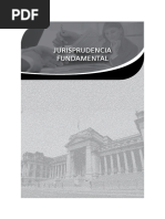 Jurisprudencia Fundamental