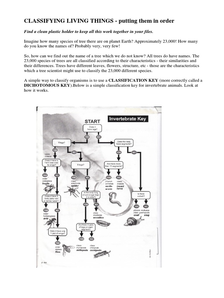 Tree and Alien Classification Guide | PDF | Statistical Classification ...