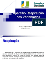 Respiração Pulmonar dos Vertebrados