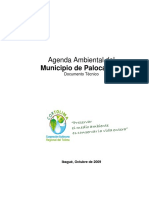 2009 Agenda Ambiental Del Municipio de Palocabildo