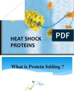 Heat Shock Proteins