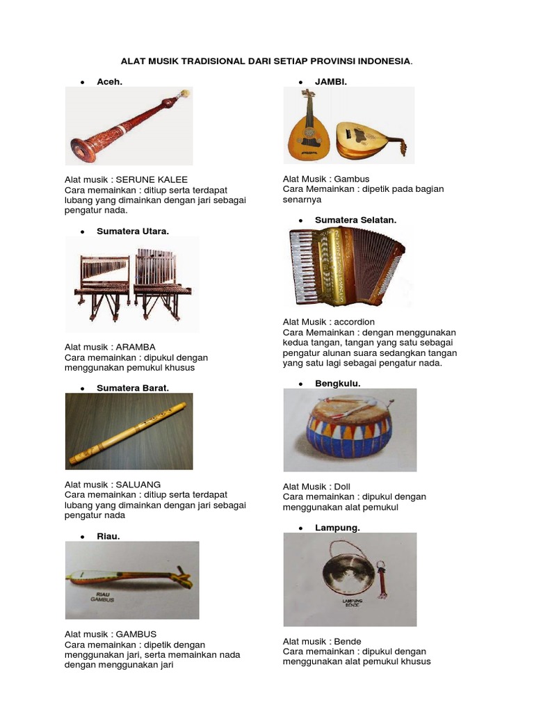 Alat Musik Tradisional Dari Setiap Provinsi Indonesia